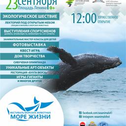 Фестиваль «Море жизни» пройдет в Петропавловске-Камчатском 23 сентября. Фото пресс-службы правительства региона