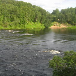 Река Кола в нижнем течении. Фото Insider («Википедия»)