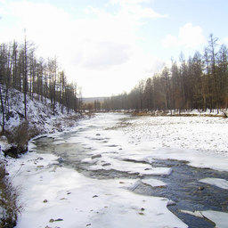 Река Багдаринка. Фото с сайта «Природа Байкала», автор Олег Морозов