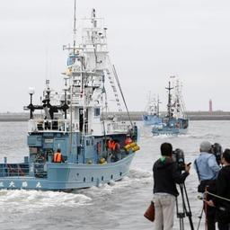 Пять судов вышли из Кусиро на промысел минке в прибрежье Хоккайдо. Фото Kyodo News