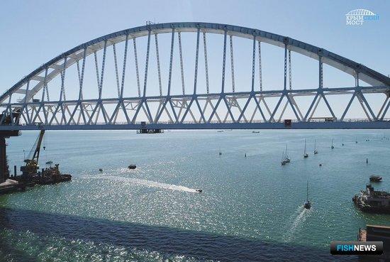 Крымский мост. Фото с одноименного сайта