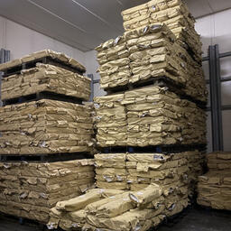 Всего обнаружено 897 крафт-мешков с мороженой рыбопродукцией. Фото пресс-службы УМВД по Камчатскому краю
