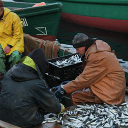 Январь стал успешным для крымских рыбаков