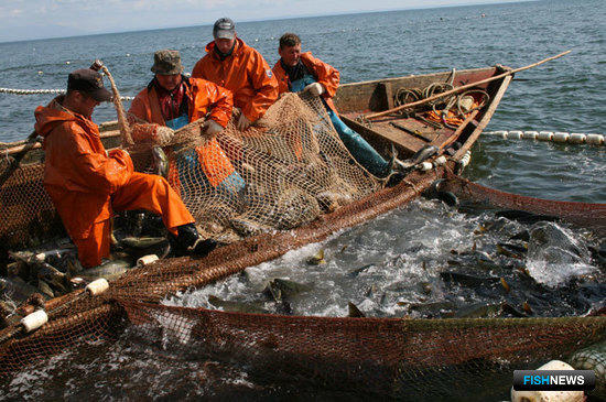 Налоговые льготы для рыбаков грозят отменить