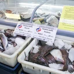 Программа «Доступная рыба» уже несколько лет реализуется в Сахалинской области. Фото пресс-службы правительства региона