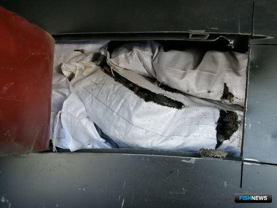 Тайник был оборудован в рейсовом автобусе. Фото пресс-группы Погрануправления ФСБ России по Приморскому краю