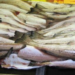 По данным Россельхознадзора, в этом году отечественные компании отправляют рыбопродукцию в 62 страны