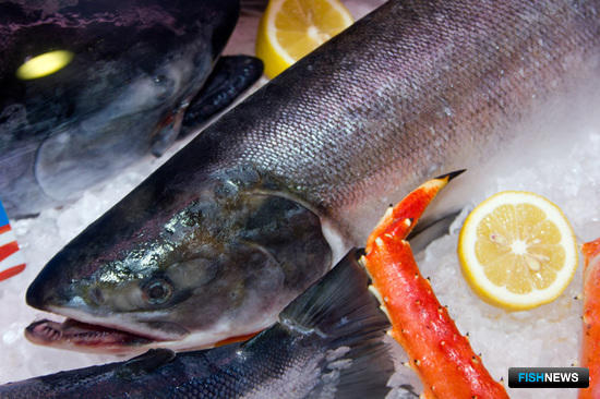 Продажа рыбы на бирже – это право, а не обязанность