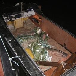 Изъято более тонны нелегальных уловов, в том числе 844 кг осетровых видов рыб. Фото пресс-службы Амурского территориального управления Росрыболовства