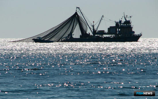 Рыбный промысел у крымских берегов. Фото пресс-службы департамента сельского хозяйства Севастополя