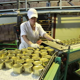 За две недели работы Рыбокомбинат «Островной» выпустил более 500 тыс. банок сайровых консервов. Фото пресс-службы ООО «Курильский универсальный комплекс»