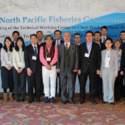 Специалисты Комиссии по рыболовству в северной части Тихого океана (СТО, NPFC). Фото пресс-службы ТИНРО-Центра