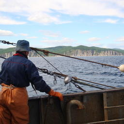 Новая практика электронной «нарезки» рыбоводных участков угрожает прибрежному промыслу в подзоне Приморье