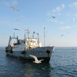 Рыболовное судно ведет промысел на Дальнем Востоке