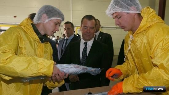 Премьер-министр Дмитрий МЕДВЕДЕВ на Сахалине. Фото пресс-службы правительства РФ
