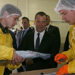 Премьер-министр Дмитрий МЕДВЕДЕВ на Сахалине. Фото пресс-службы правительства РФ