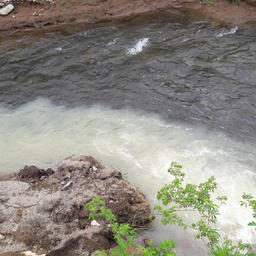 Проверка выявила загрязнение реки и ручья отходами производства. Фото пресс-службы Северо-Восточного теруправления Росрыболовства