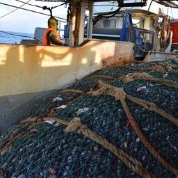 Рыбный промысел на Дальнем Востоке. Фото предоставлено «Океанрыбфлотом»