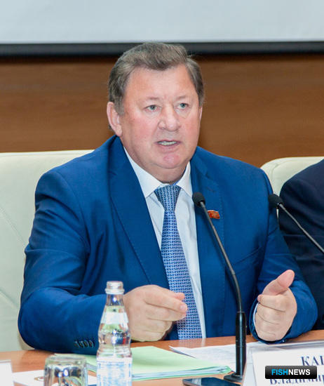 Председатель Комитета Госдумы по природным ресурсам, природопользованию и экологии Владимир КАШИН