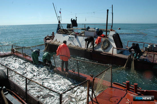 Кризис не помешал Камчатке развивать рыбное хозяйство