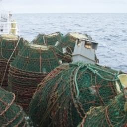 Брошенные крабовые ловушки, собранные в Баренцевом море. Фото пресс-службы Директората рыболовства Норвегии