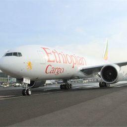 Самолет эфиопской компании. Фото Ethiopian Cargo