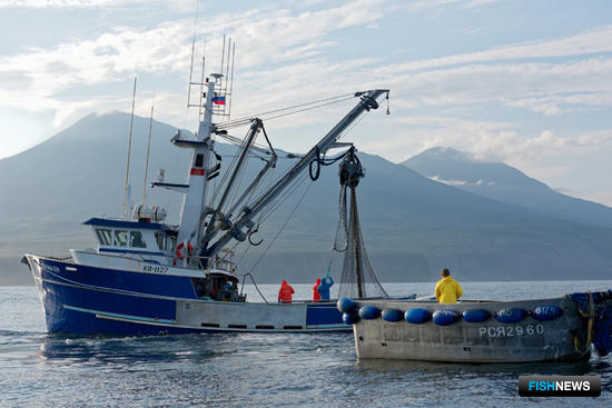 В этом году «Курильский рыбак», традиционно работающий на добыче лосося ставными неводами, начал активно осваивать кошельковый лов. Фото предоставлено предприятием