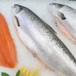 В аквакультуре Карелии за 2023 г. выращено 27,8 тыс. тонн товарной рыбы
