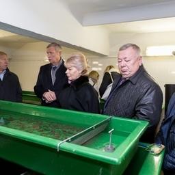 Прудовое рыбоводство попало в поле зрения сенаторов. Фото пресс-службы Совета Федерации