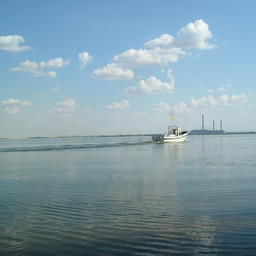 Один из участков расположен на Ириклинском водохранилище реки Урал. Фото Valeriy29 («Википедия»)