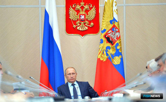 Президент России Владимир ПУТИН на заседании президиума Госсовета