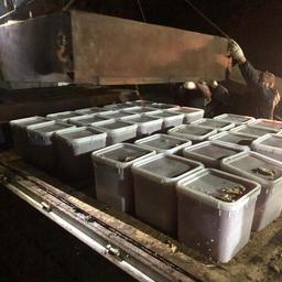 На Камчатке полицейские и рыбинспекторы перехватили более тонны лососевой икры без документов. Фото пресс-службы СВТУ