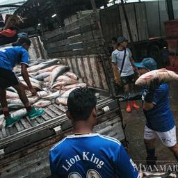 Мьянма рассчитывает расширить поставки рыбопродукции в Евросоюз. Фото с сайта Myanmar Times