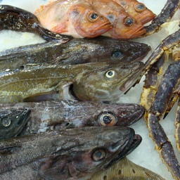 На протяжении трех дней рыба и морепродукты предлагались вниманию ведущих игроков рынка