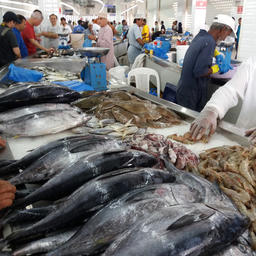 Гости оценили состояние местных рыбных рынков. Фото пресс-службы Россельхознадзора