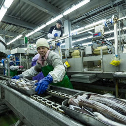 Сахалинская область оценила механизмы насыщения рыбного рынка
