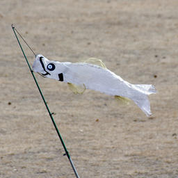 Горожане приносили ветряные украшения, выполненные в виде «летающих» лососей. Фото пресс-службы правительства области