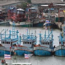Правительство Таиланда по итогам инспекции в апреле прошлого года отказало в выдаче лицензий почти 1900 рыболовным судам. Фото Bangkok Post