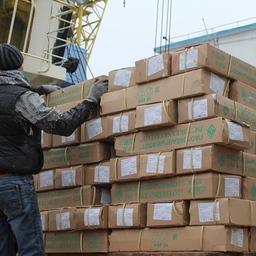 Транспортный рефрижератор «Океанрыбфлота «Канариан Рифер» отгрузил порядка 100 тонн олюторской сельди в порту Петропавловска-Камчатского. Фото пресс-службы правительства региона