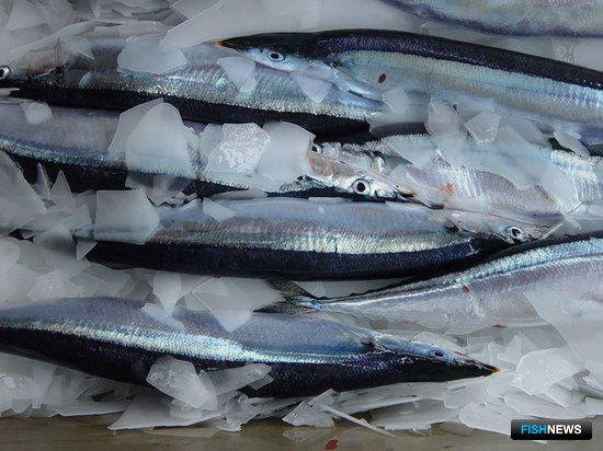 Министерство сельского хозяйства поддержало идею о рыбных биржах