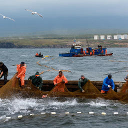 На Дальнем Востоке готовятся обновить правила рыболовства