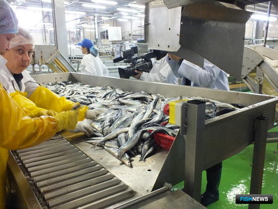 Рыбоперерабатывающий завод в Сахалинской области