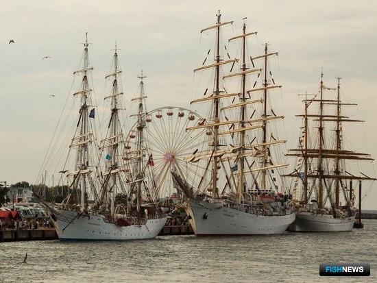 В Ростоке «Седов» принял участие в фестивале-регате Hanse Sail. Фото Александра Кучерука.