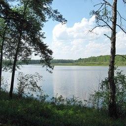 Река Чулым в Первомайском районе Томской области. Фото С См («Википедия»)