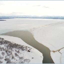 Протока Азабачья, соединяющая озеро Азабачье с основным руслом реки Камчатка. Фото пресс-службы КамчатНИРО