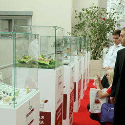 Конкурс-смотр «Витрина новинок» на 21-й Международной выставке World Food Moscow