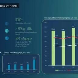 Министр экономического развития Камчатки Андрей Гончаров продемонстрировал слайд с показателями рыбной отрасли 