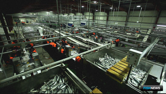 Рыбоперерабатывающее производство ООО «Восточный берег». Фото предоставлено компанией «Технологическое оборудование».