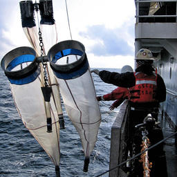 Ученые Национального управления океанических и атмосферных исследований во время исследования залива Аляска. Фото пресс-службы NOAA (НОАА) 