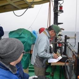 Исследования проводились в центральной и северной частях Охотского моря. Фото пресс-службы ТИНРО-Центра